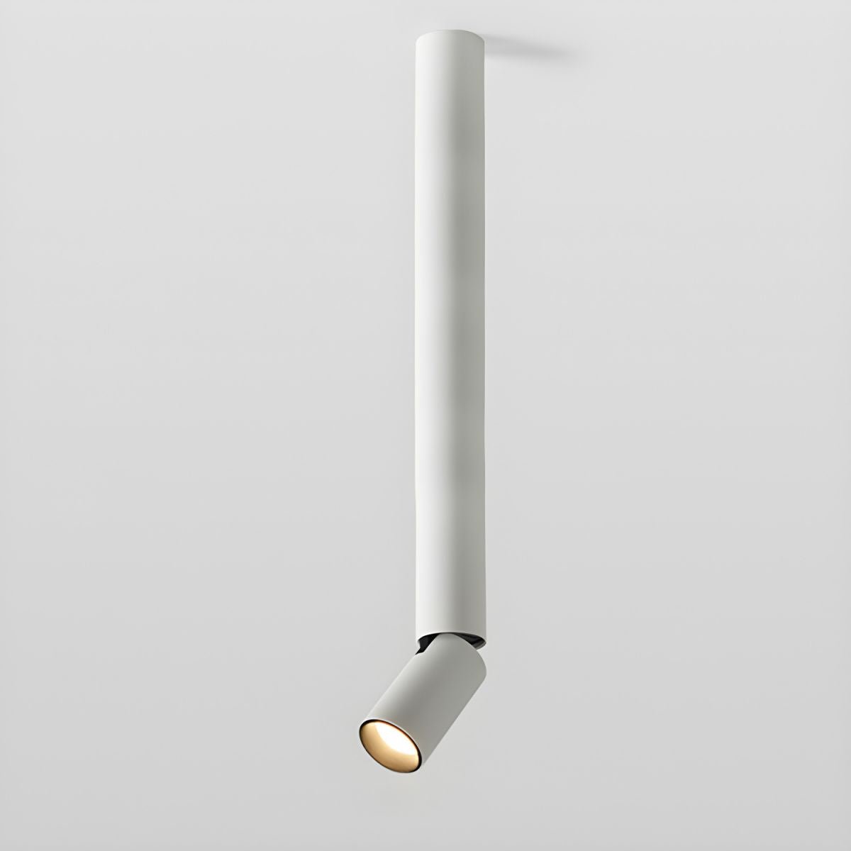 Elvynira Adjustable Surface Downlight Ceiling lamp - Letslighting