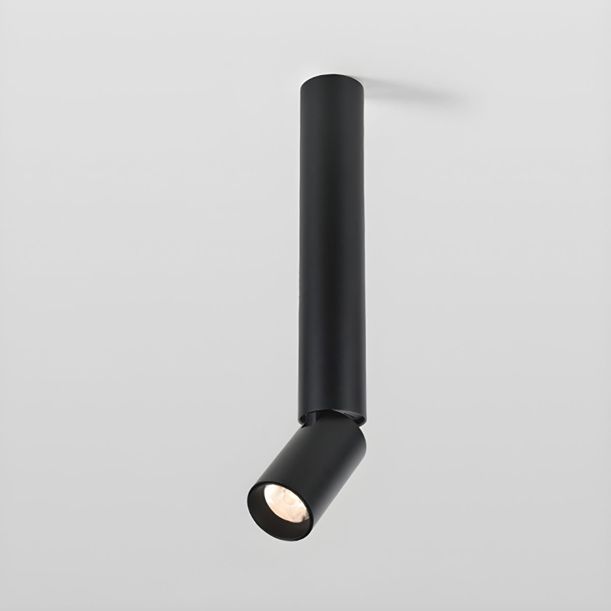 Elvynira Adjustable Surface Downlight Ceiling lamp - Letslighting