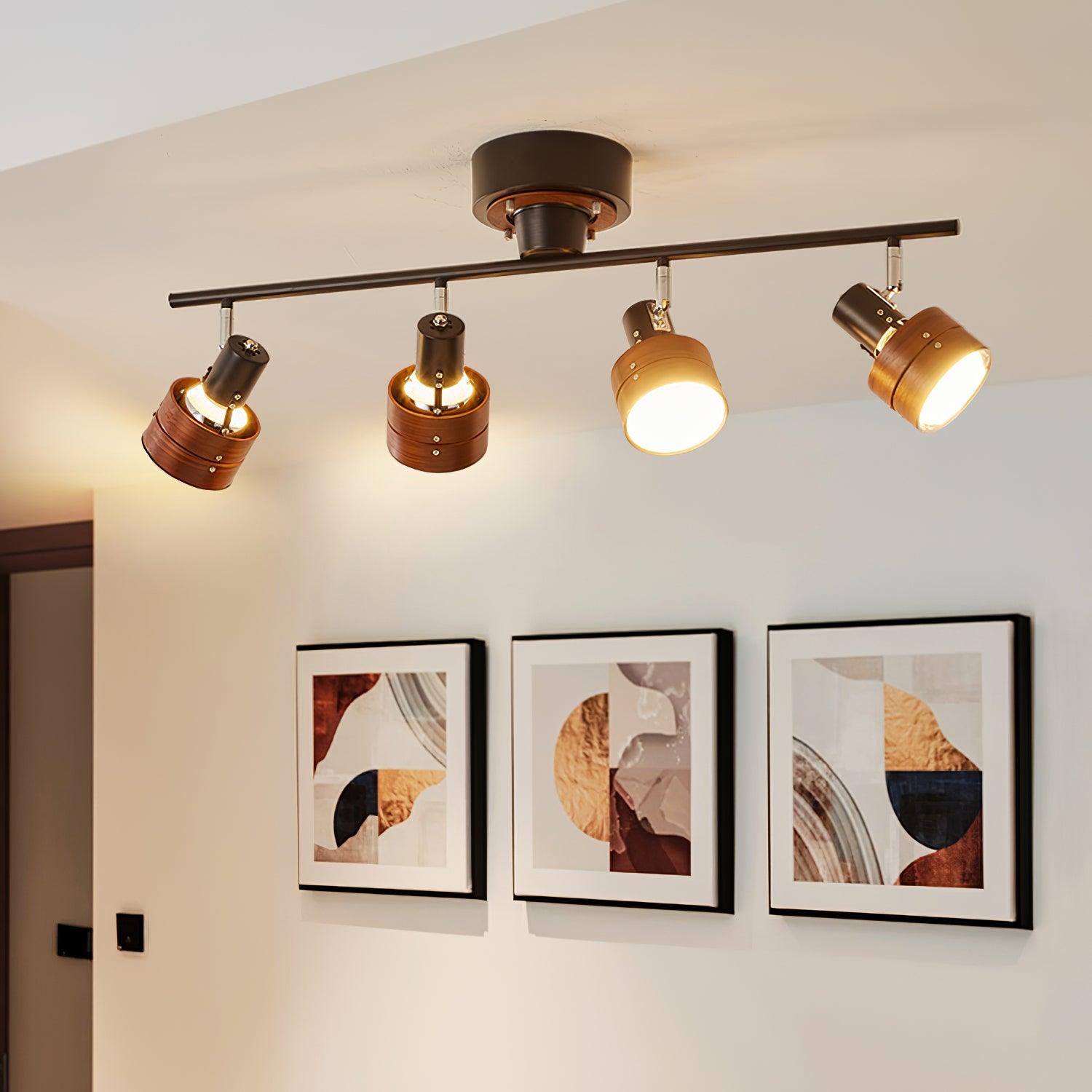 Daven Adjustable 4-Light Track Spotlight - Letslighting