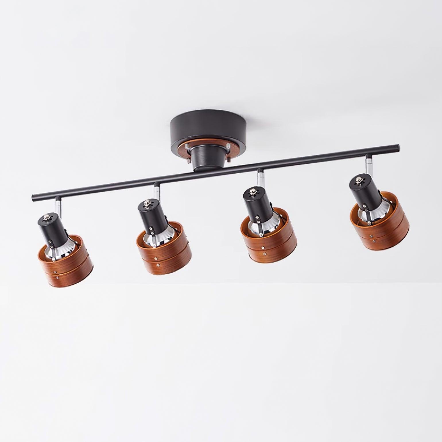 Daven Adjustable 4-Light Track Spotlight - Letslighting