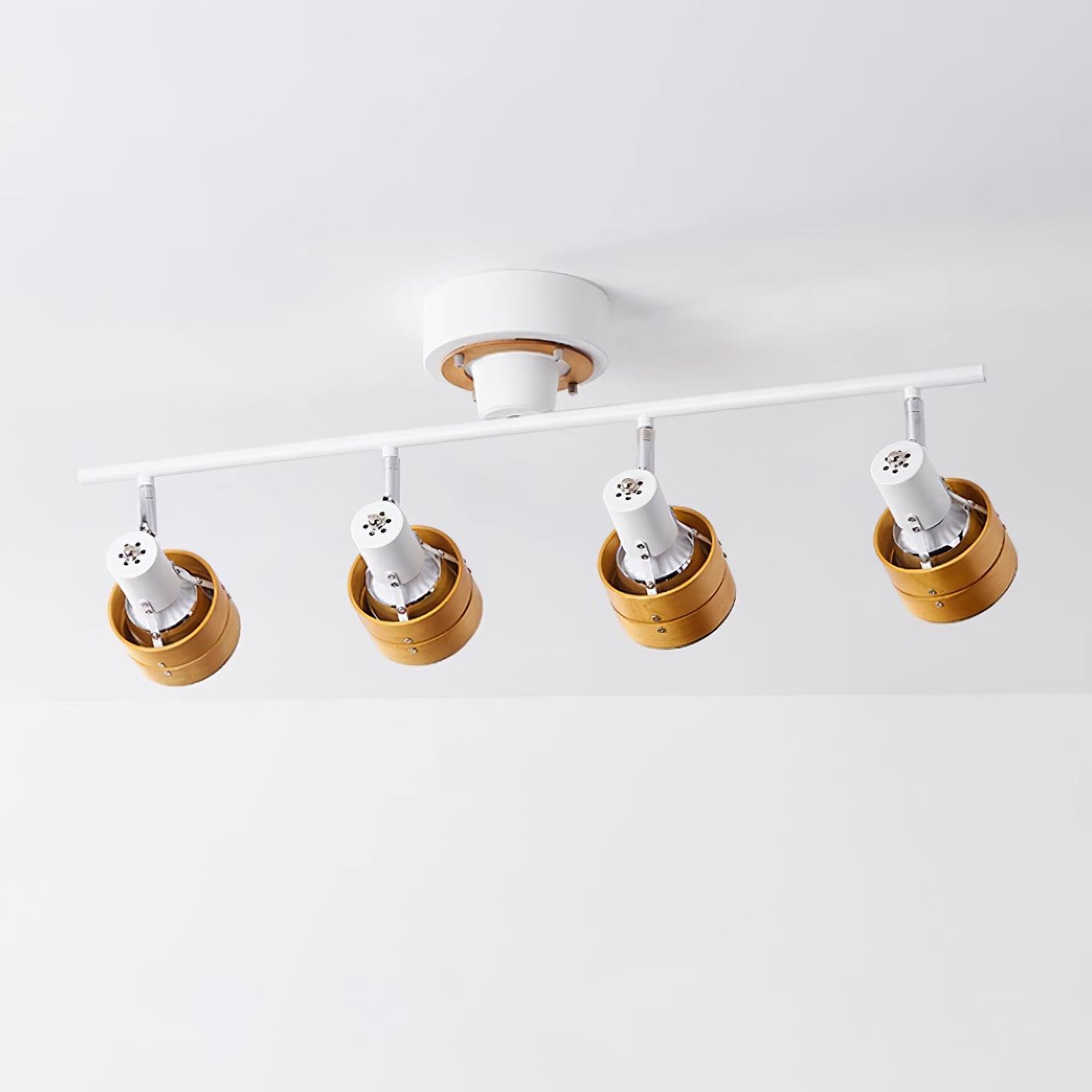 Daven Adjustable 4-Light Track Spotlight - Letslighting