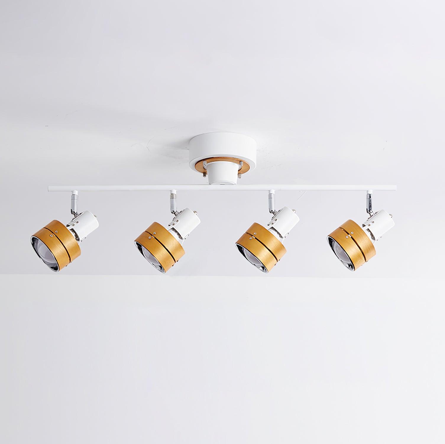 Daven Adjustable 4-Light Track Spotlight - Letslighting