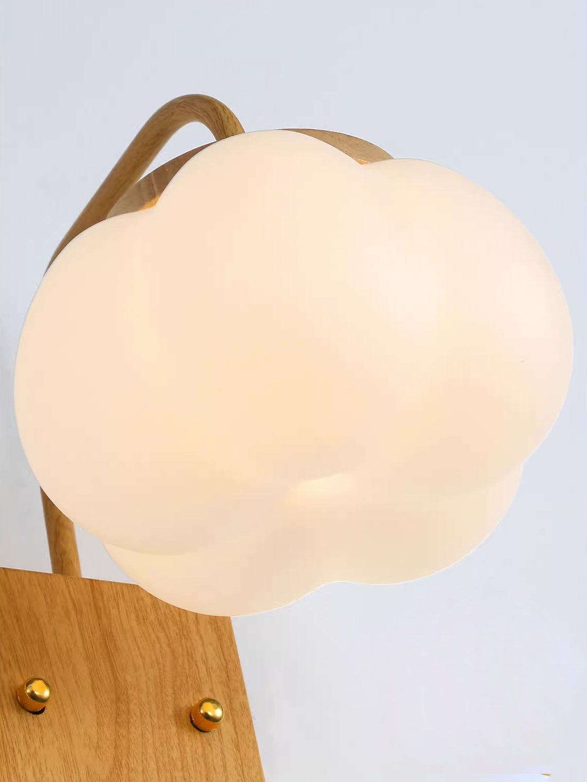 Eurrinis Elegance Flower Plastic Wall Lamp - Letslighting