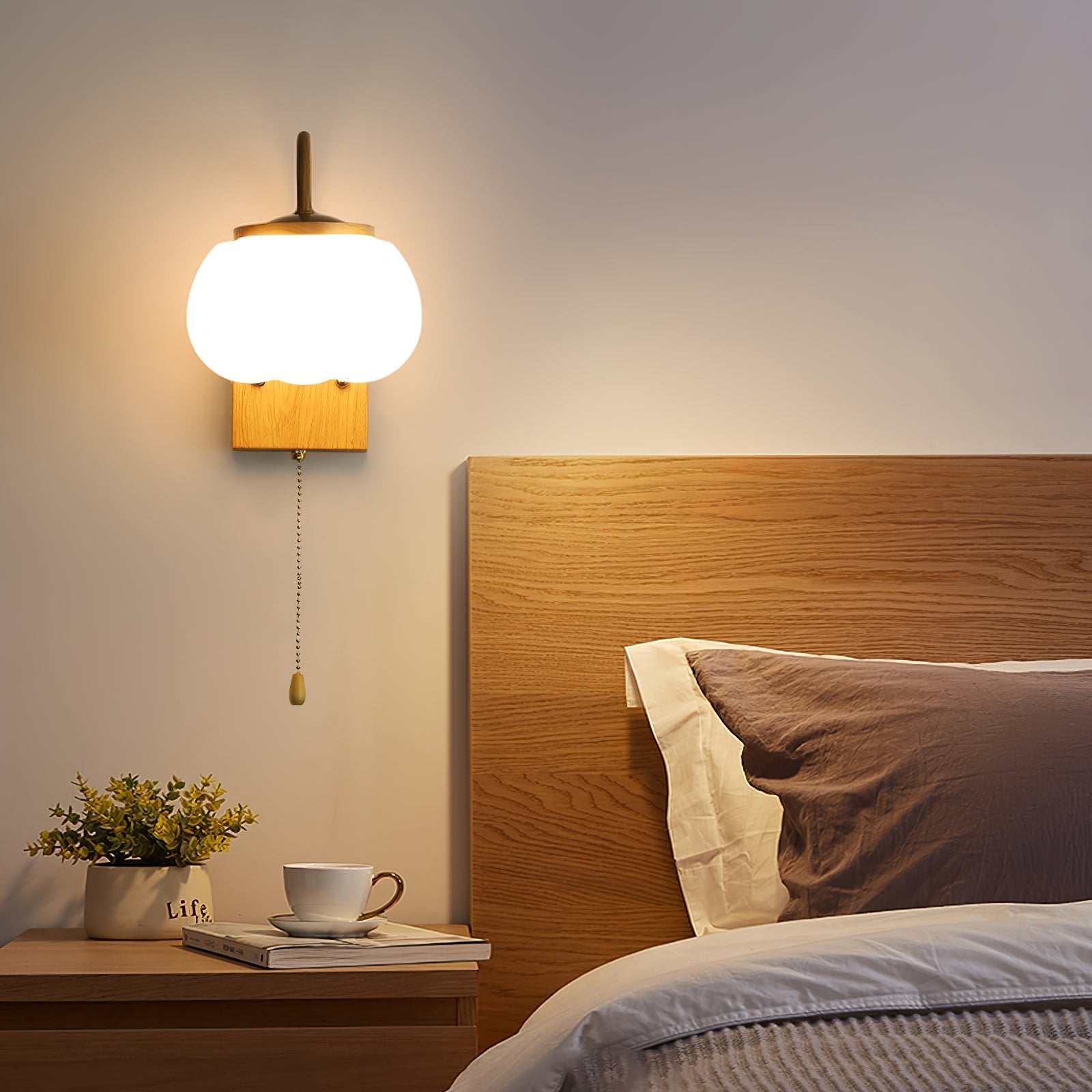 Eurrinis Elegance Flower Plastic Wall Lamp - Letslighting