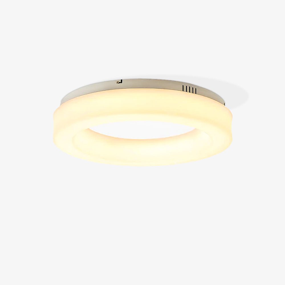 Erraeiel Modern Minimalist Art Ceiling Light - Letslighting