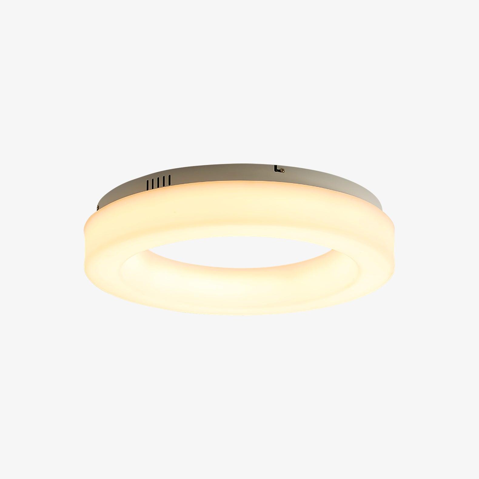 Erraeiel Modern Minimalist Art Ceiling Light - Letslighting