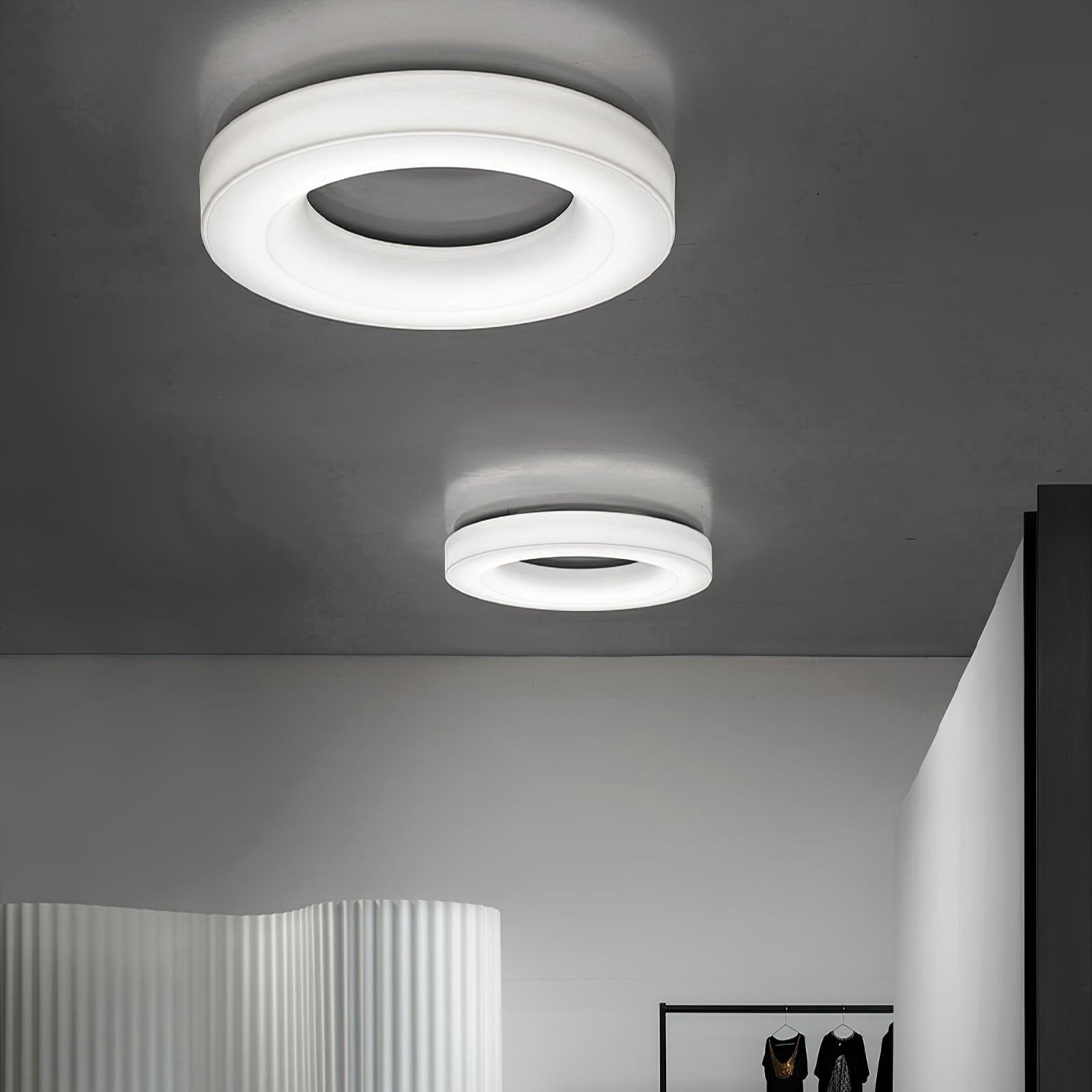 Erraeiel Modern Minimalist Art Ceiling Light - Letslighting
