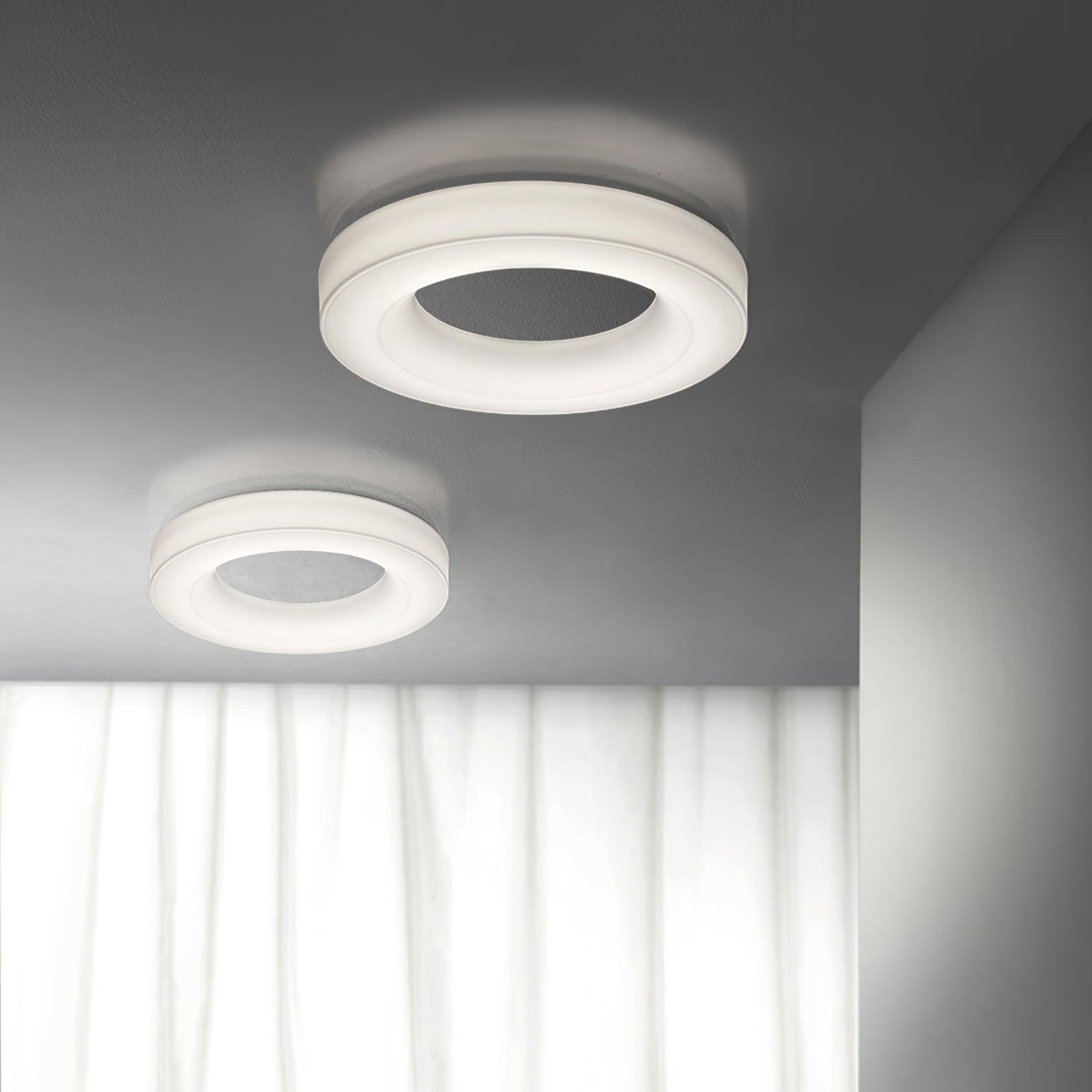 Erraeiel Modern Minimalist Art Ceiling Light - Letslighting