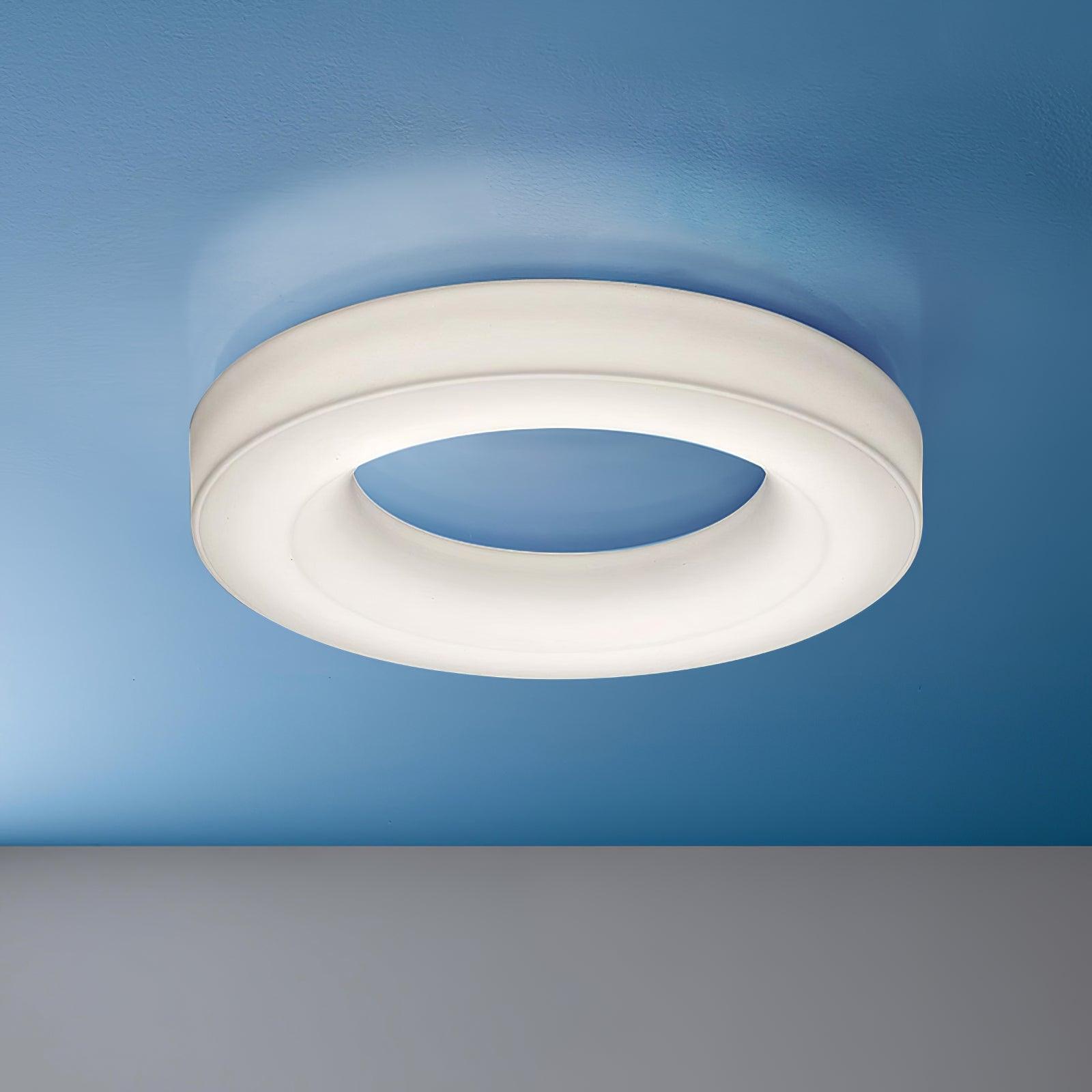 Erraeiel Modern Minimalist Art Ceiling Light - Letslighting