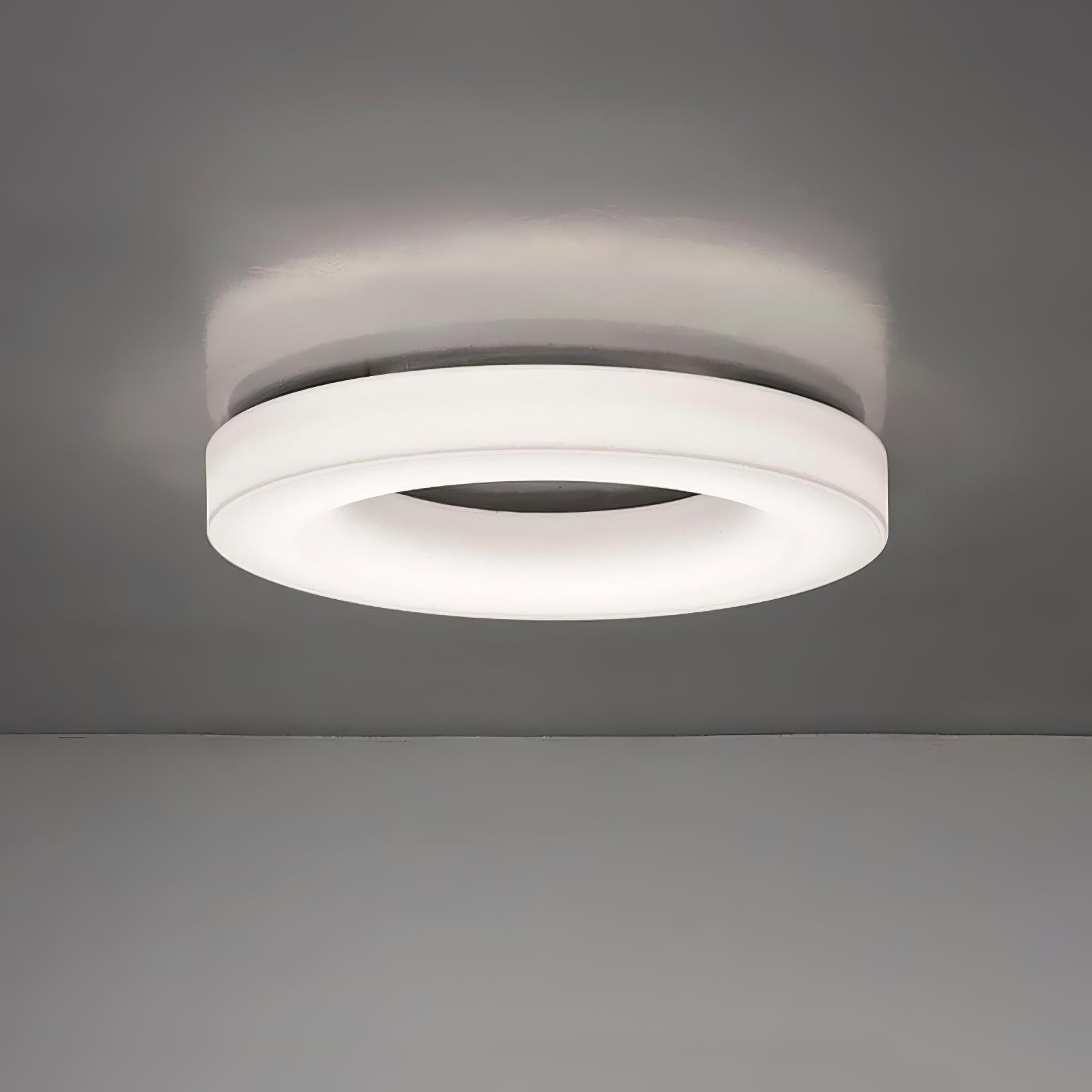 Erraeiel Modern Minimalist Art Ceiling Light - Letslighting