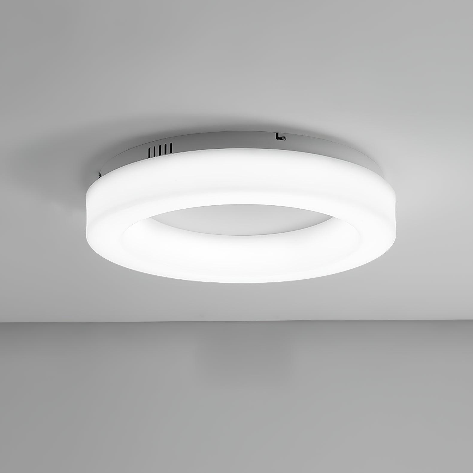 Erraeiel Modern Minimalist Art Ceiling Light - Letslighting