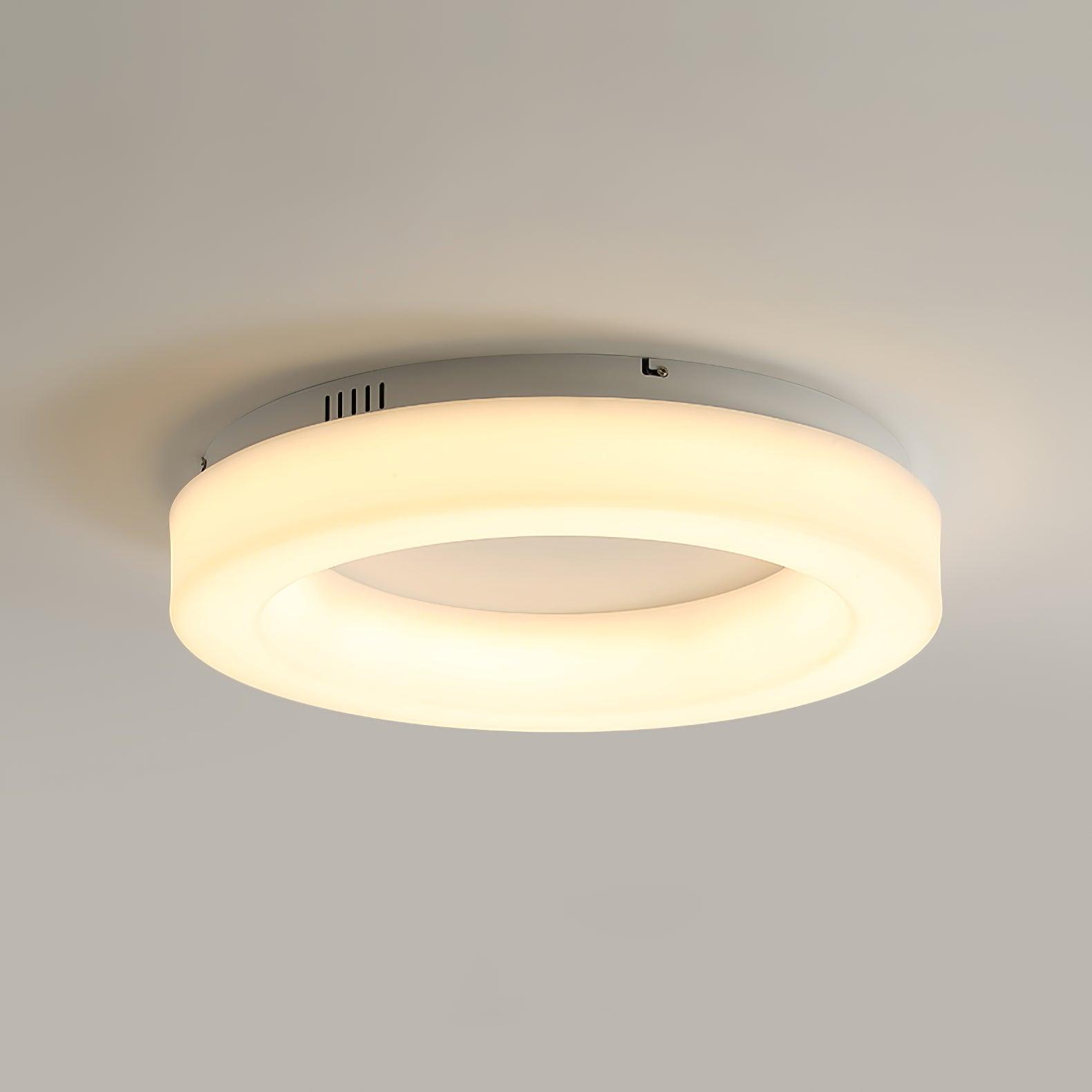 Erraeiel Modern Minimalist Art Ceiling Light - Letslighting