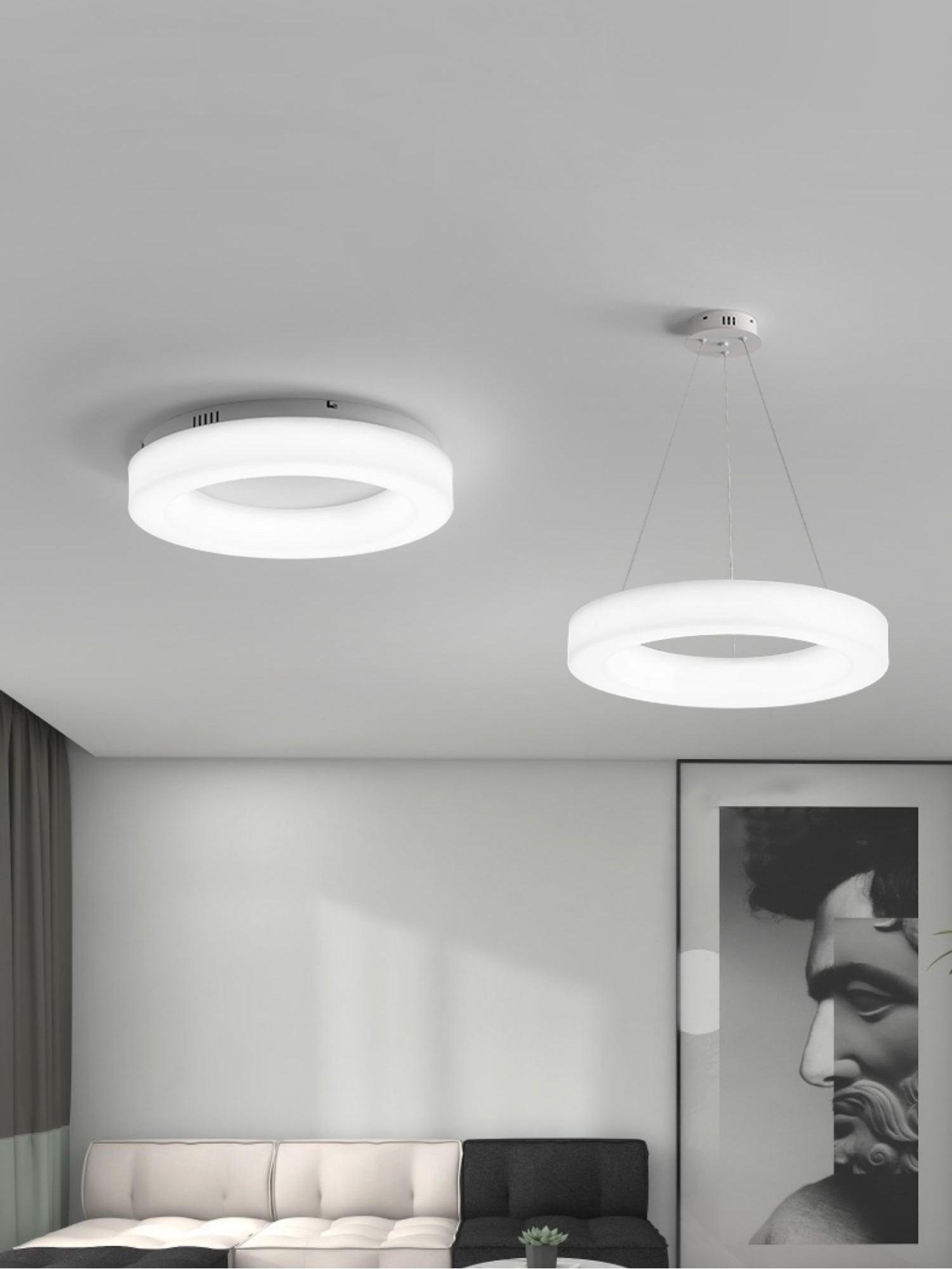 Erraeiel Modern Minimalist Art Ceiling Light - Letslighting