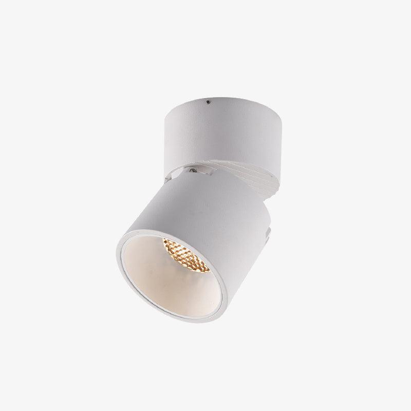Alvynora Modern Minimalist Spotlights Ceiling lamp - Letslighting
