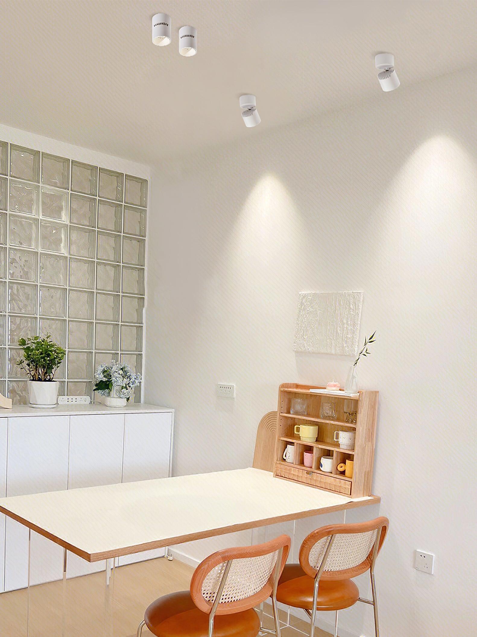 Alvynora Modern Minimalist Spotlights Ceiling lamp - Letslighting