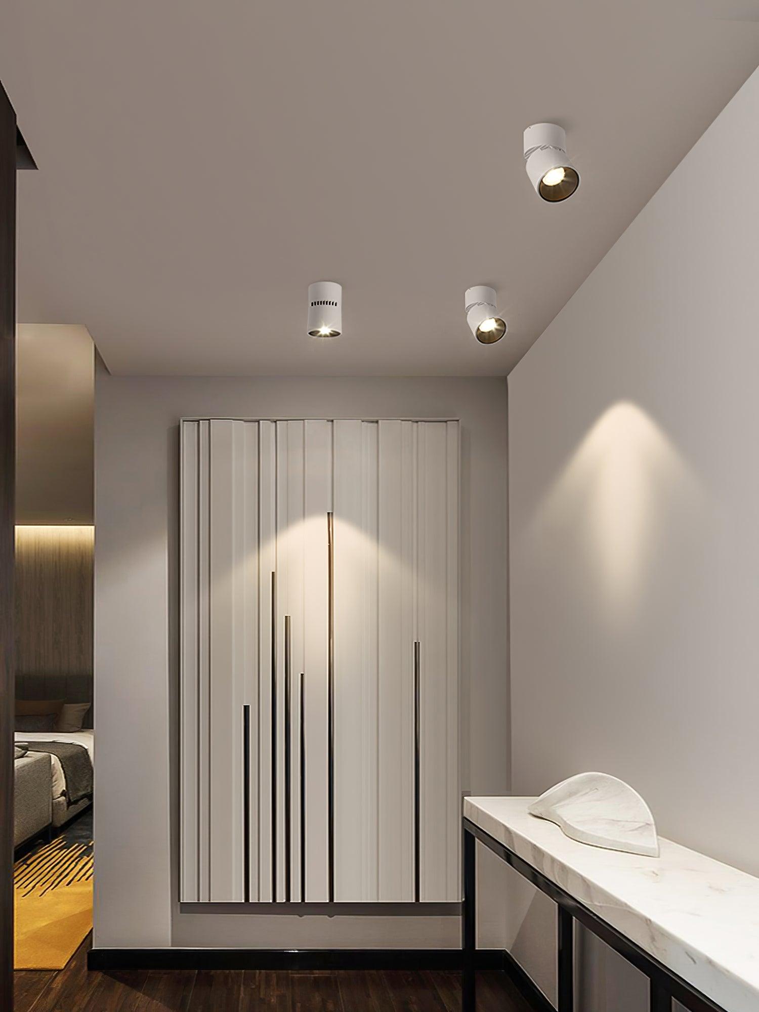 Alvynora Modern Minimalist Spotlights Ceiling lamp - Letslighting