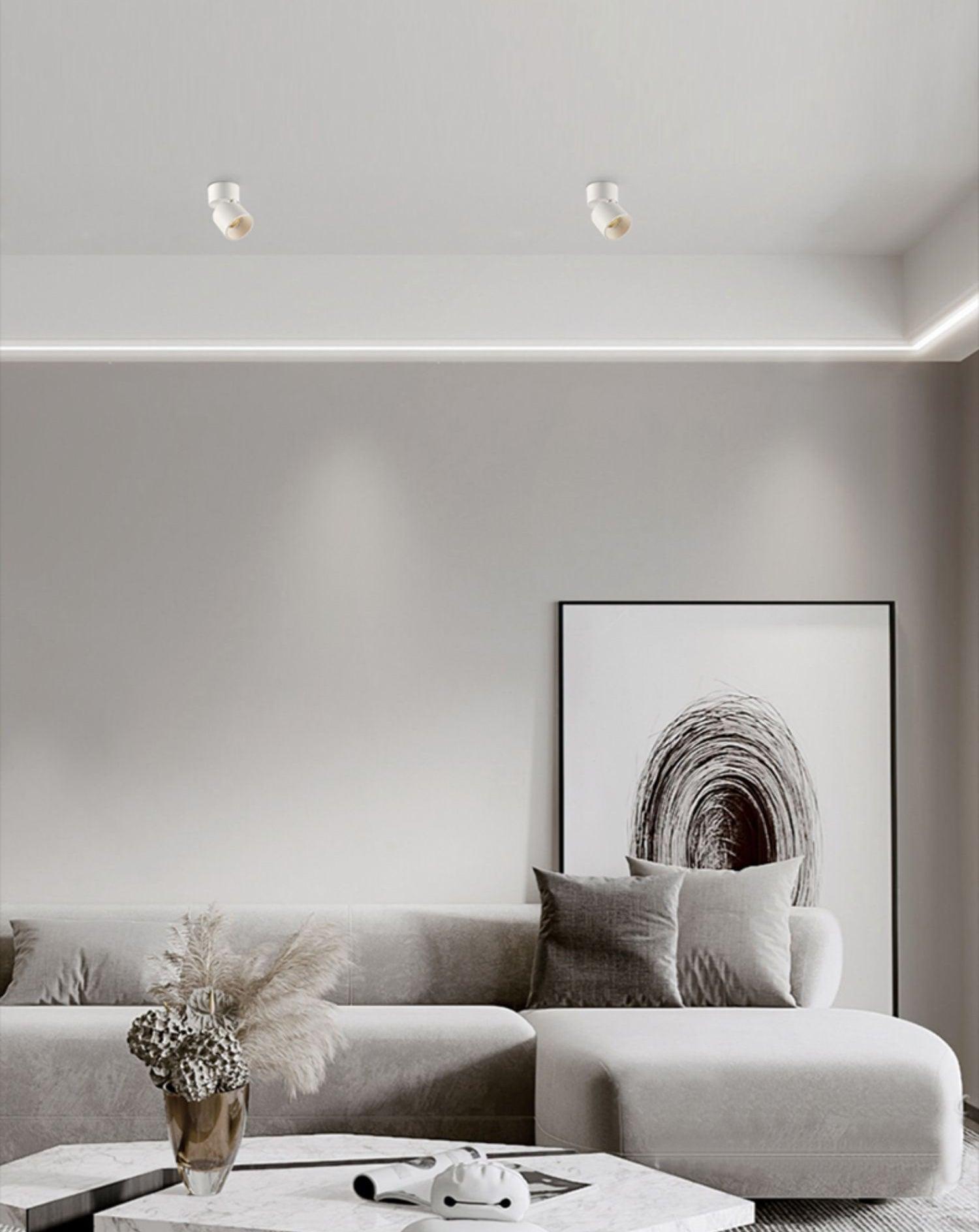 Alvynora Modern Minimalist Spotlights Ceiling lamp - Letslighting