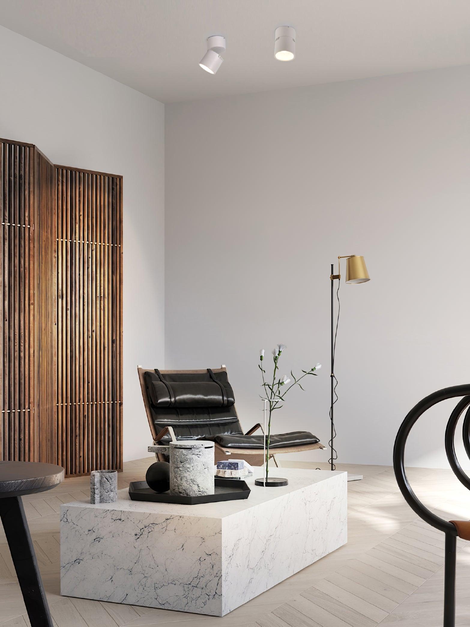 Alvynora Modern Minimalist Spotlights Ceiling lamp - Letslighting