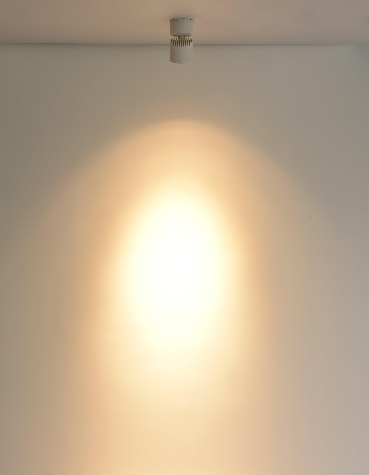 Alvynora Modern Minimalist Spotlights Ceiling lamp - Letslighting