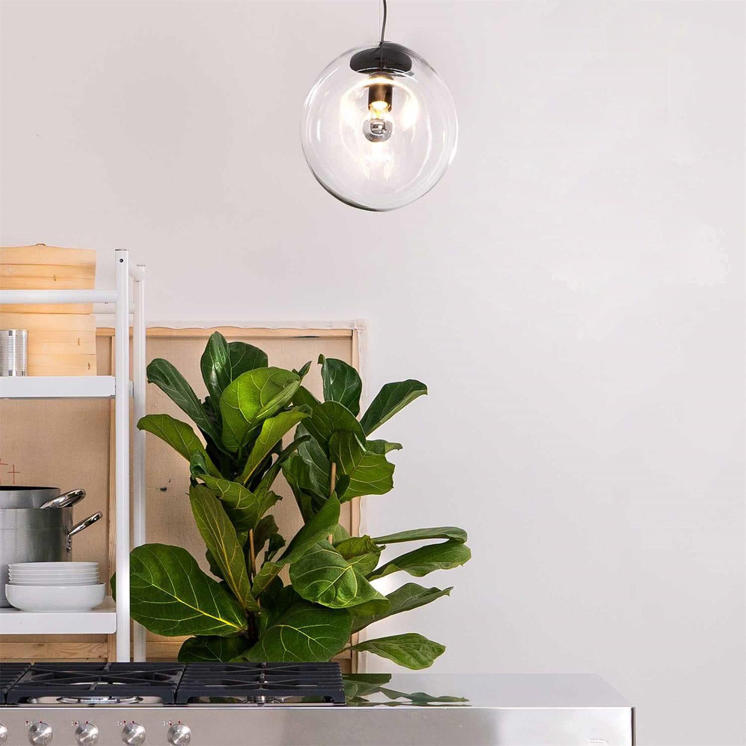 Lymara Modern Minimalist Black Glass Pendant Light - Letslighting