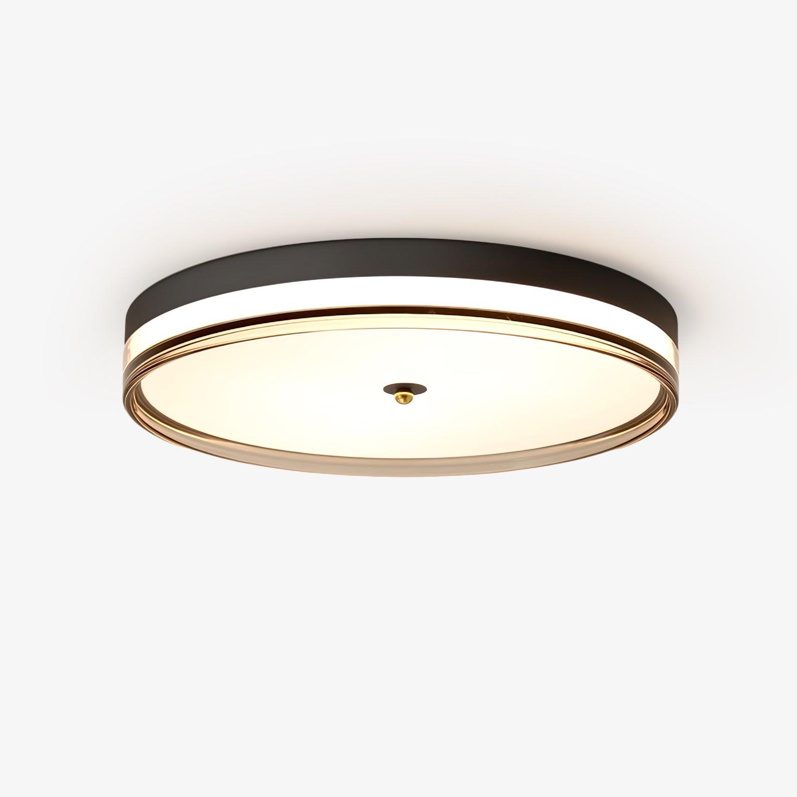 Usolira Modern Minimalist Ceiling Light - Letslighting
