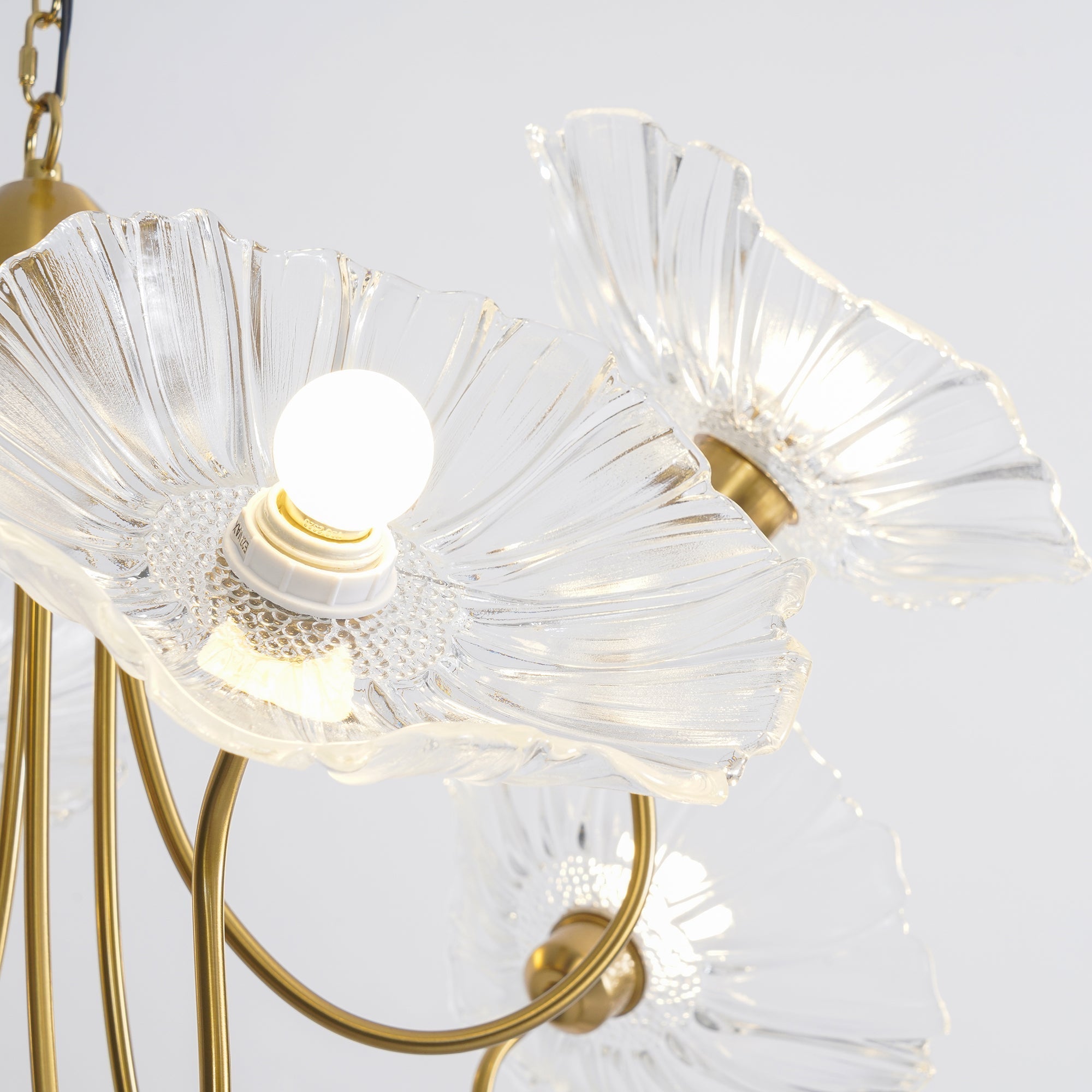 Lustra Chandelier Lotus Leaf Glass - Letslighting