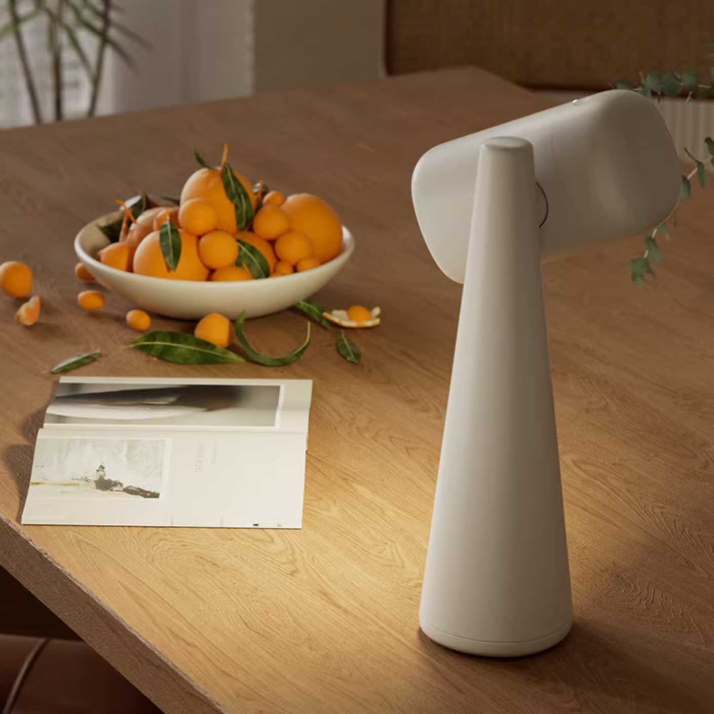 Samson Minimalist Table Light - Letslighting