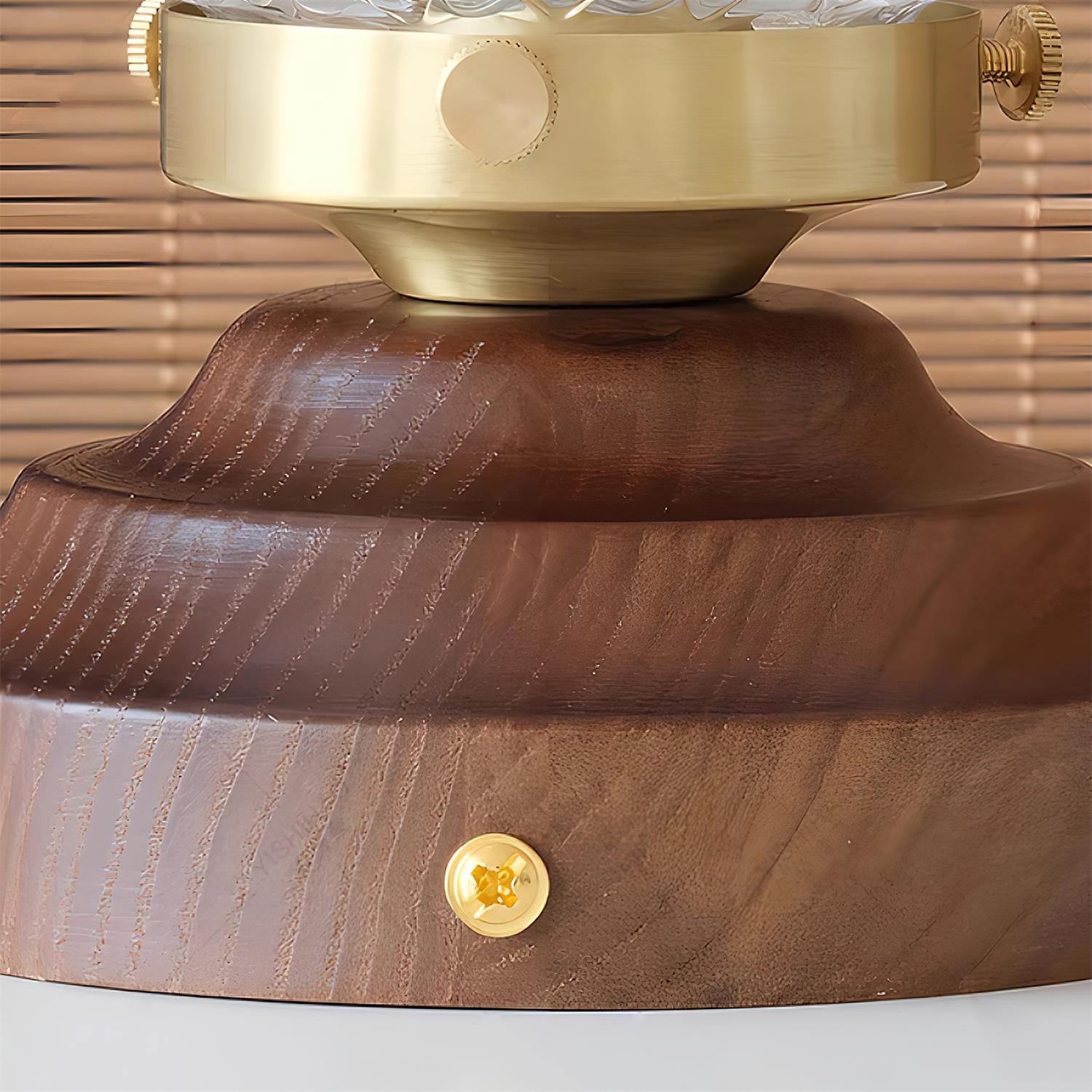 Ceiling Light Globe Shade Clear Glass Walnut Wood Canopy Brass - Letslighting