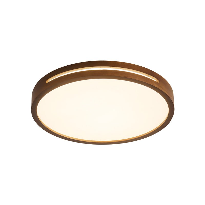 Vizoros Modern Minimalist Ceiling Light - Letslighting