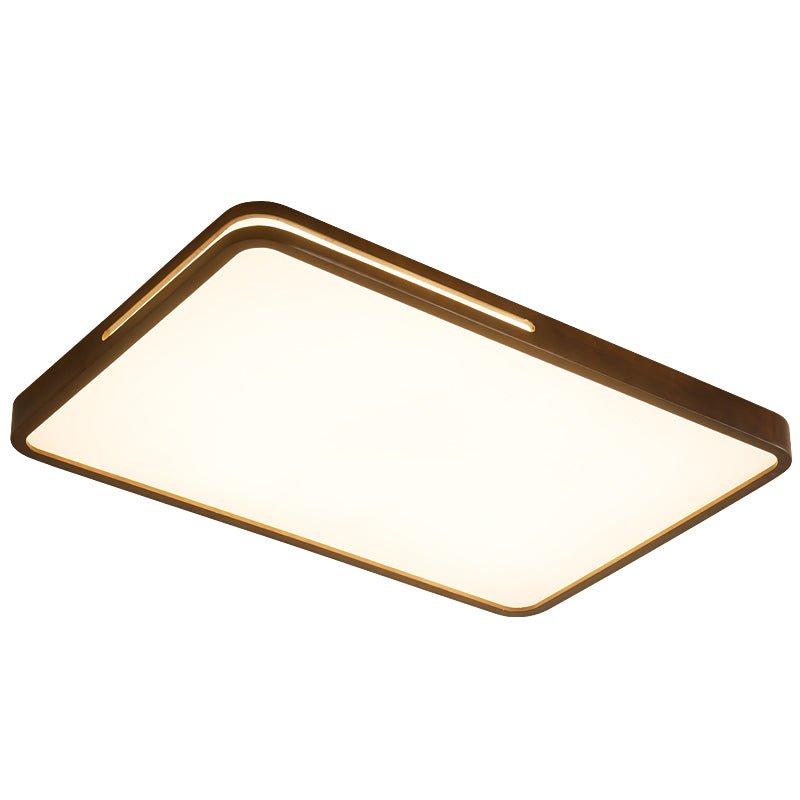 Vizoros Modern Minimalist Ceiling Light - Letslighting