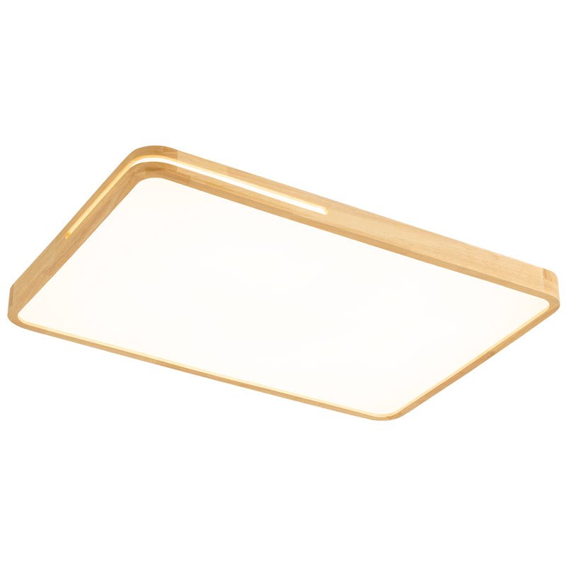 Vizoros Modern Minimalist Ceiling Light - Letslighting