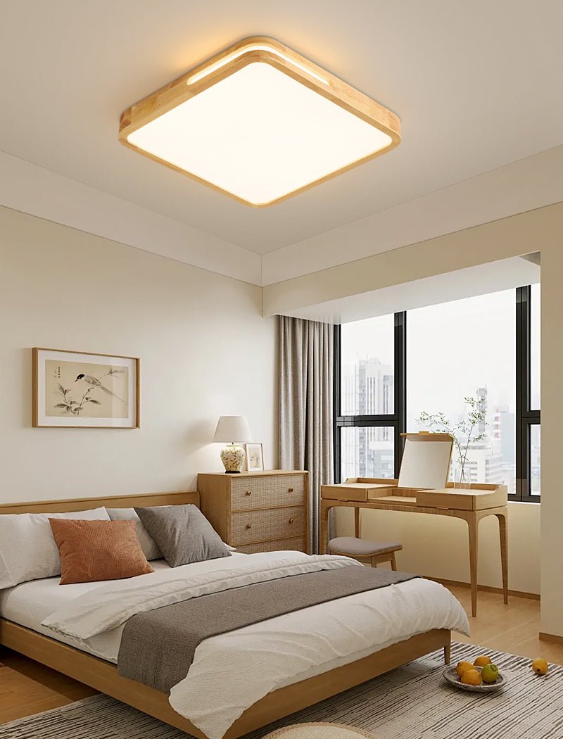Vizoros Modern Minimalist Ceiling Light - Letslighting
