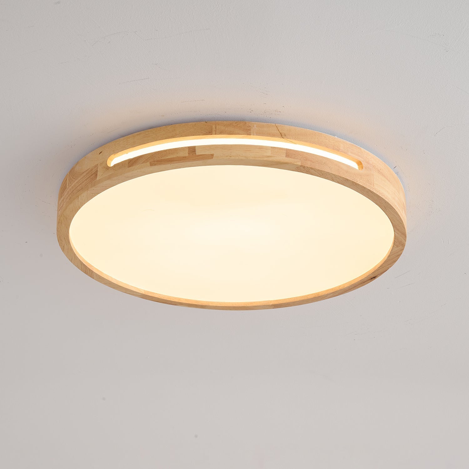 Vizoros Modern Minimalist Ceiling Light - Letslighting