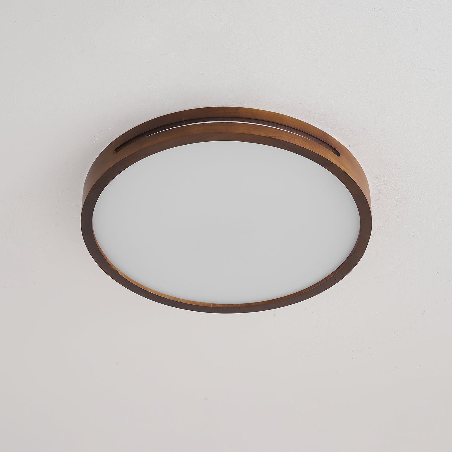 Vizoros Modern Minimalist Ceiling Light - Letslighting