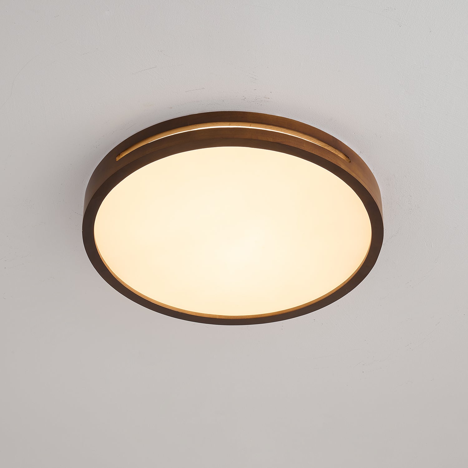 Vizoros Modern Minimalist Ceiling Light - Letslighting