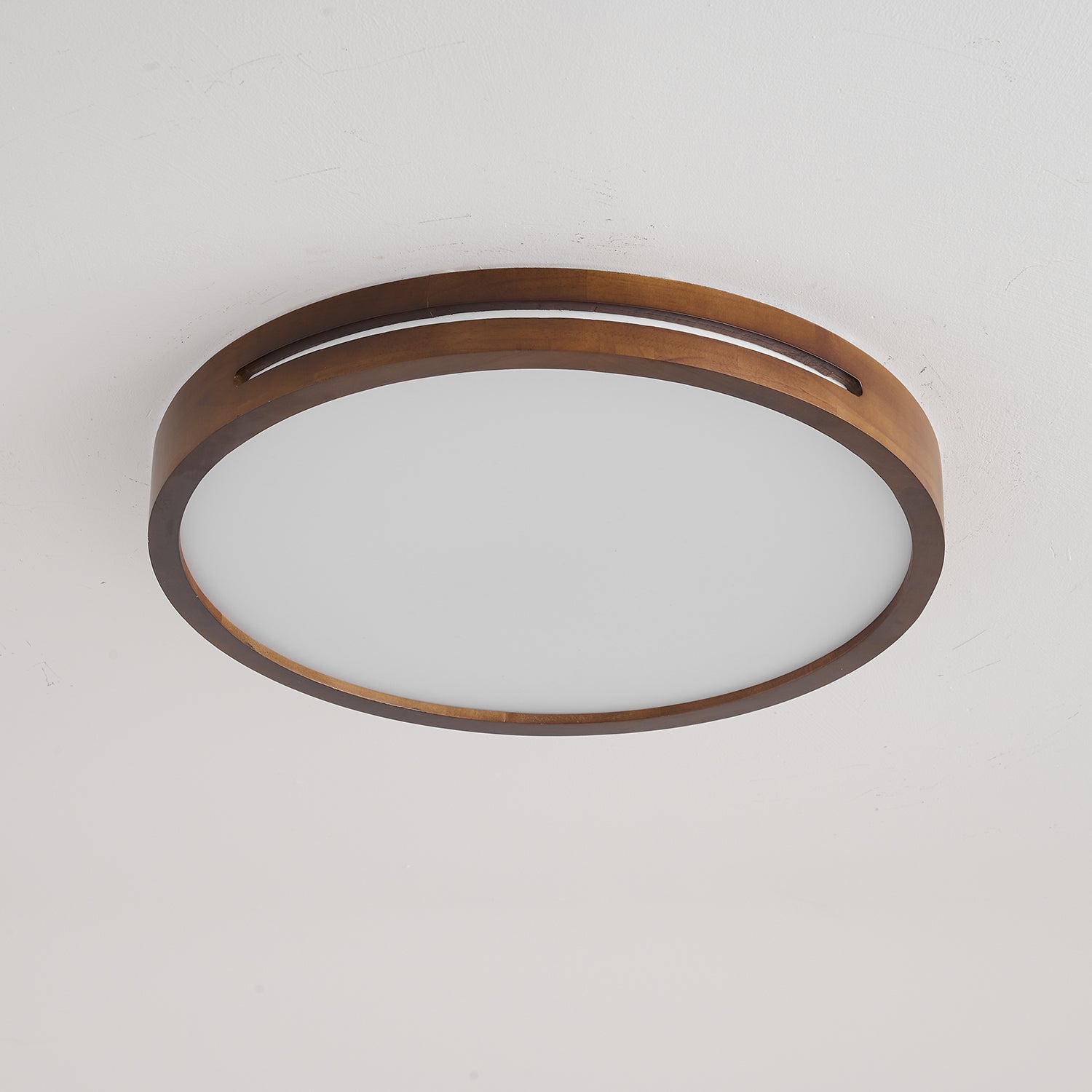 Vizoros Modern Minimalist Ceiling Light - Letslighting