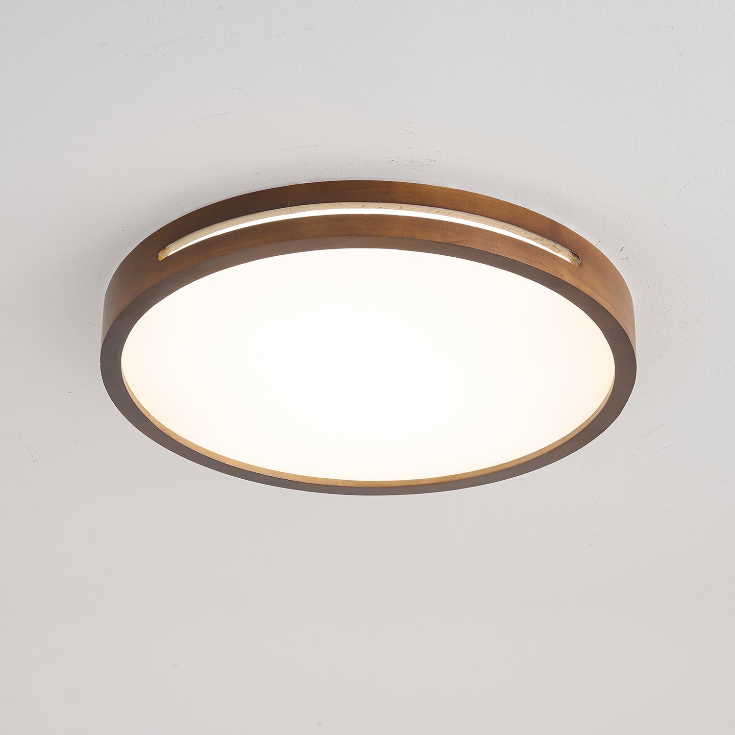 Vizoros Modern Minimalist Ceiling Light - Letslighting