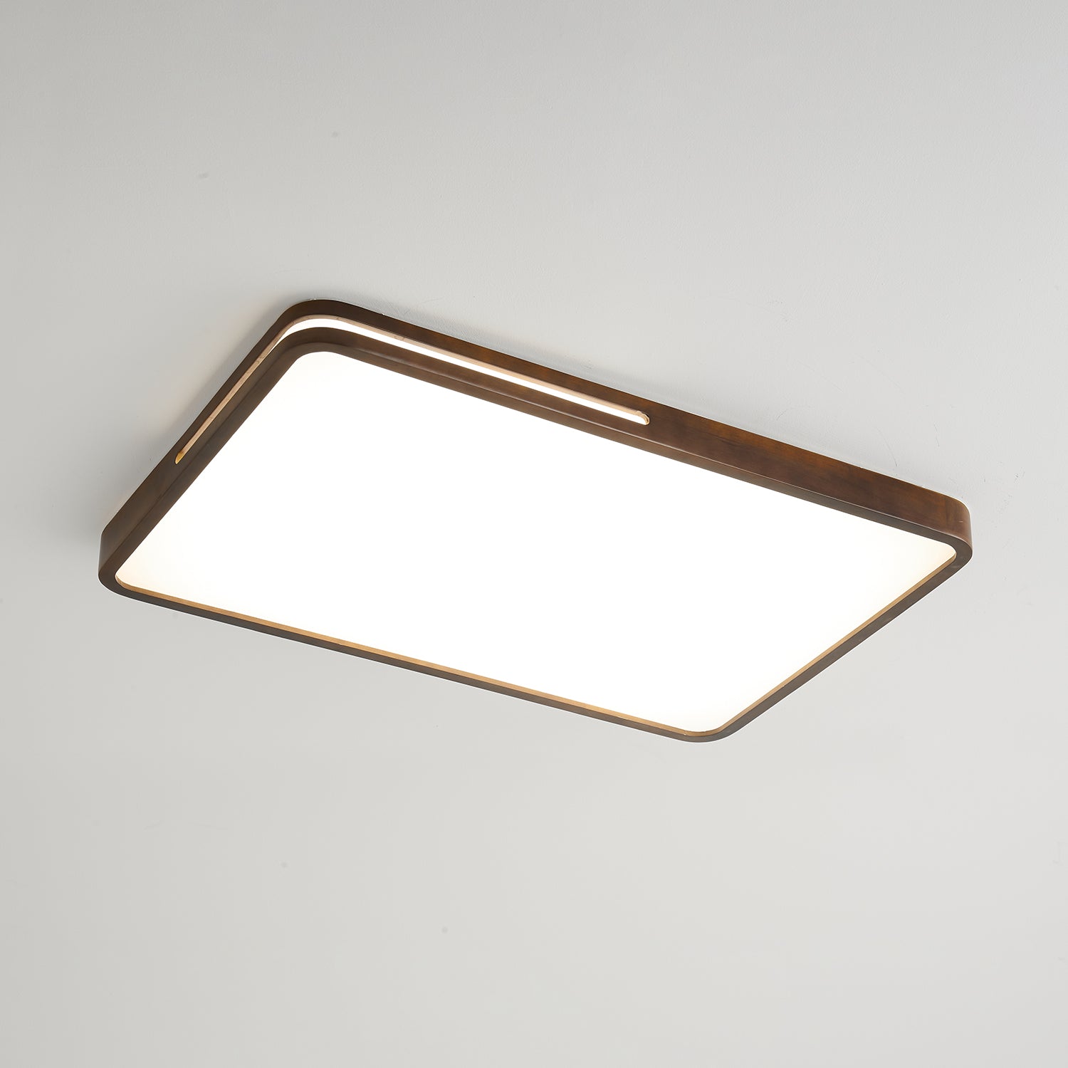 Vizoros Modern Minimalist Ceiling Light - Letslighting