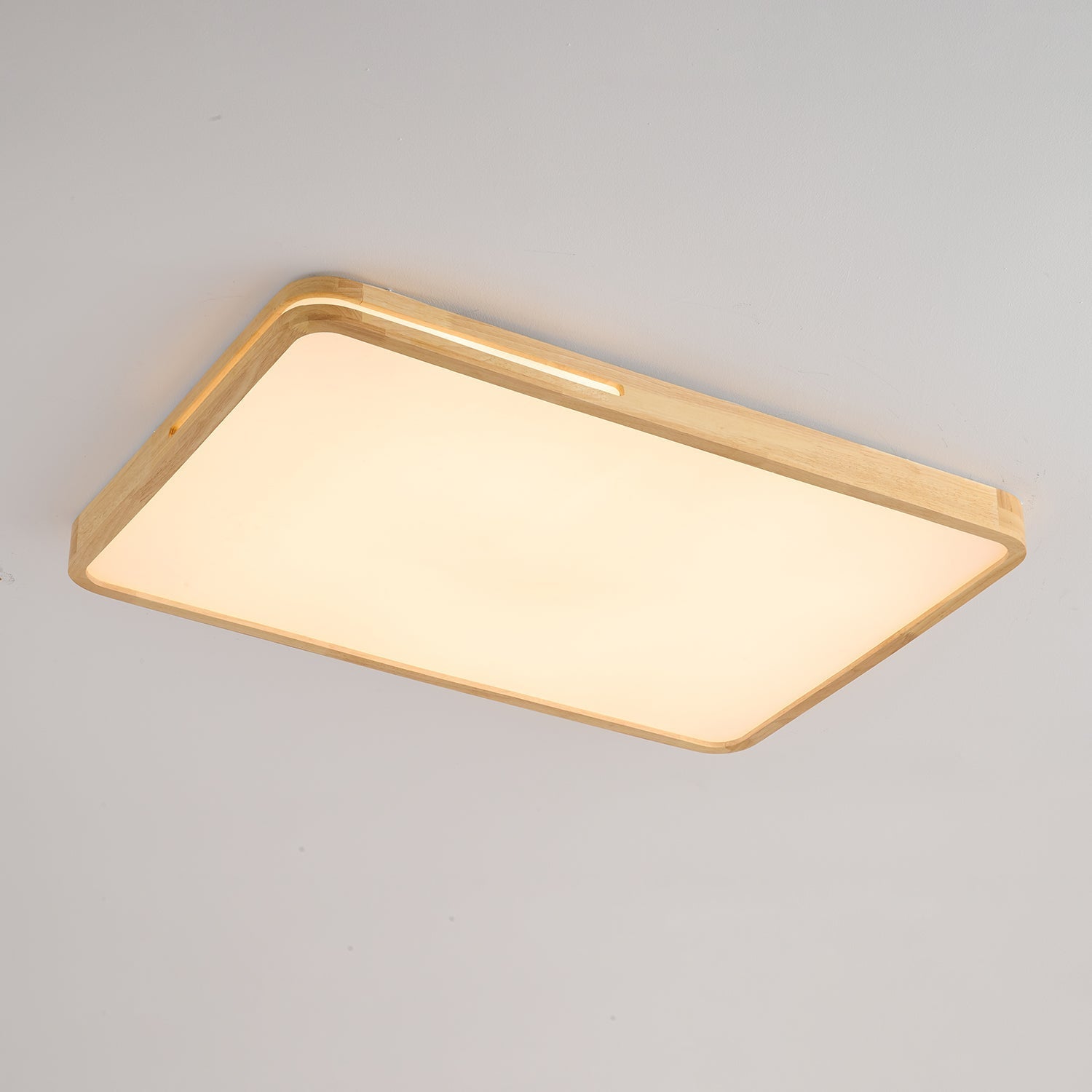 Vizoros Modern Minimalist Ceiling Light - Letslighting