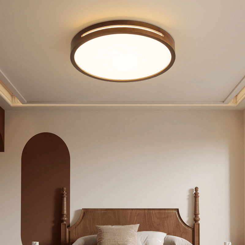Vizoros Modern Minimalist Ceiling Light - Letslighting