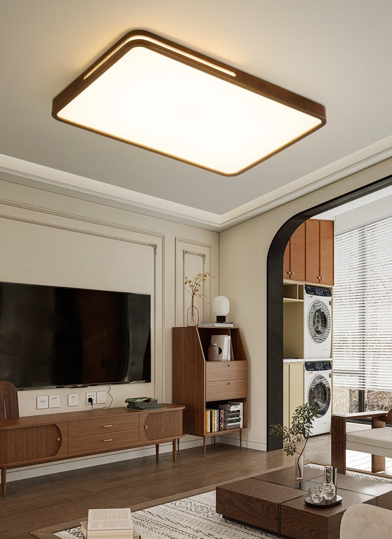 Vizoros Modern Minimalist Ceiling Light - Letslighting