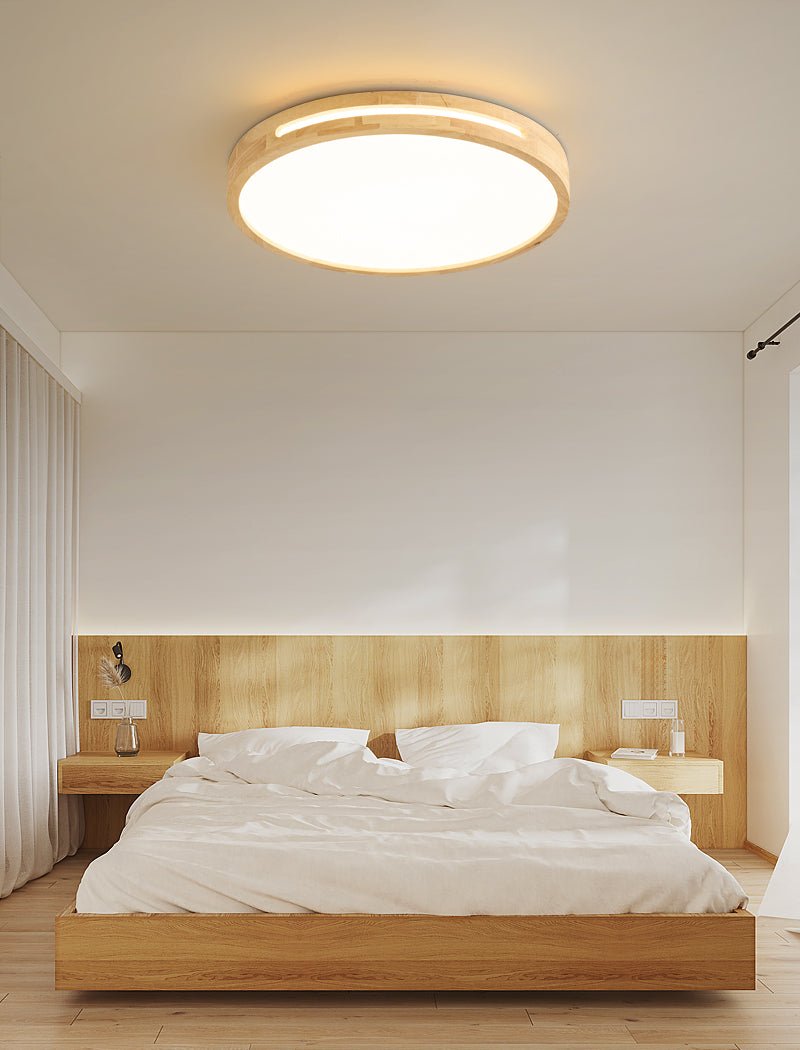 Vizoros Modern Minimalist Ceiling Light - Letslighting