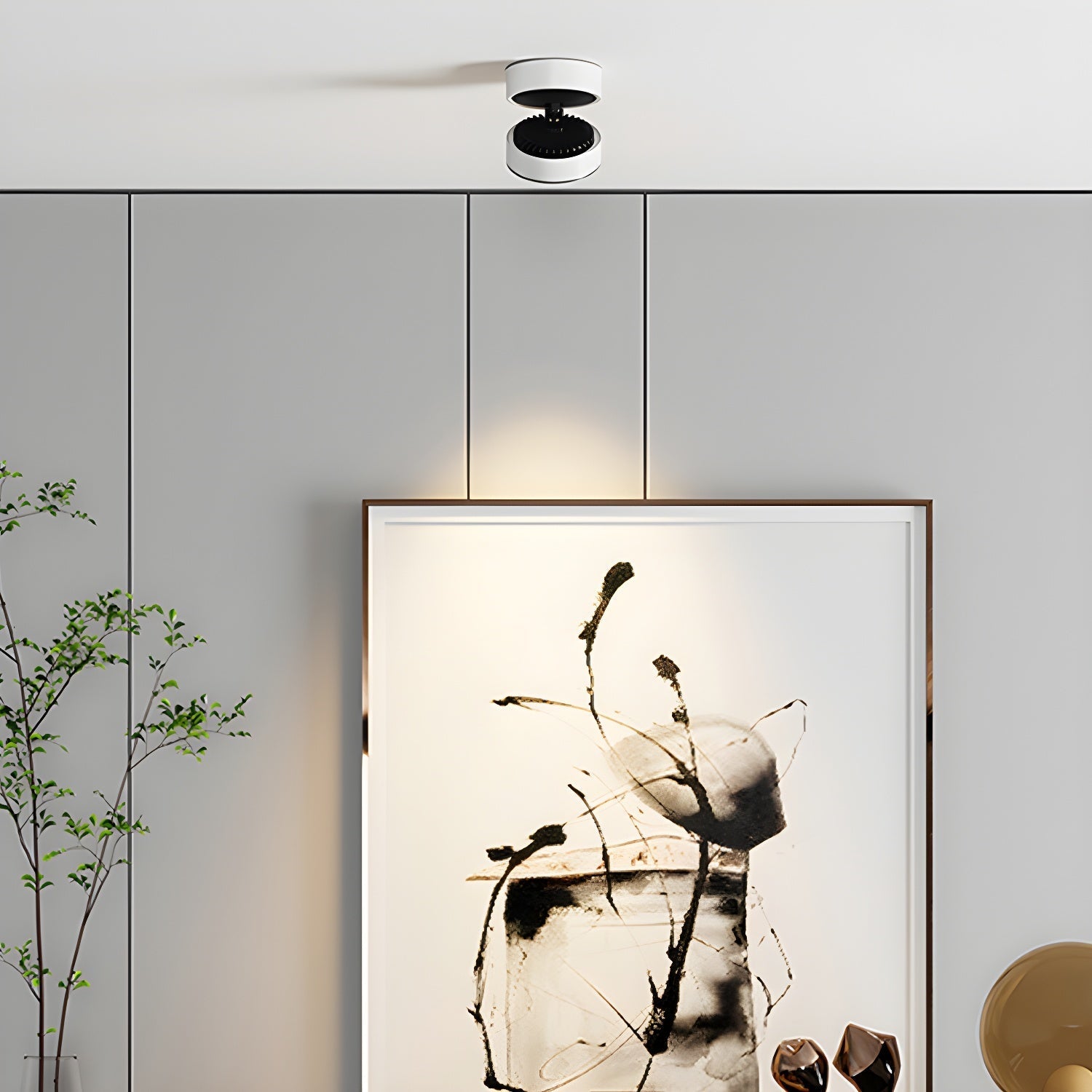 Colorara Modern Minimalist Adjustable Surface Downlight Ceiling lamp - Letslighting
