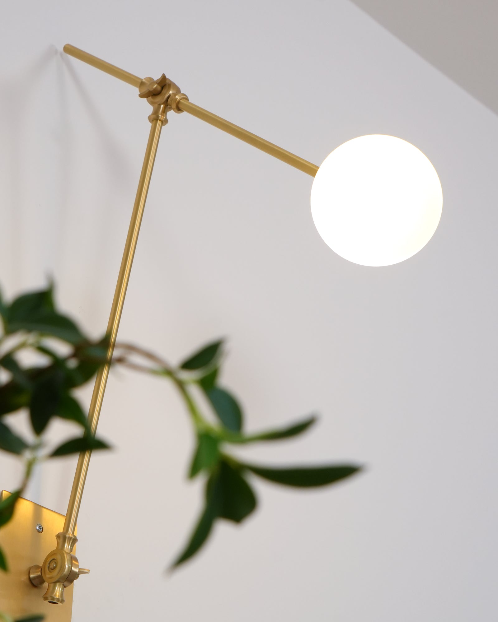 Cocaryra Modern Minimalist Wall Lamp - Letslighting