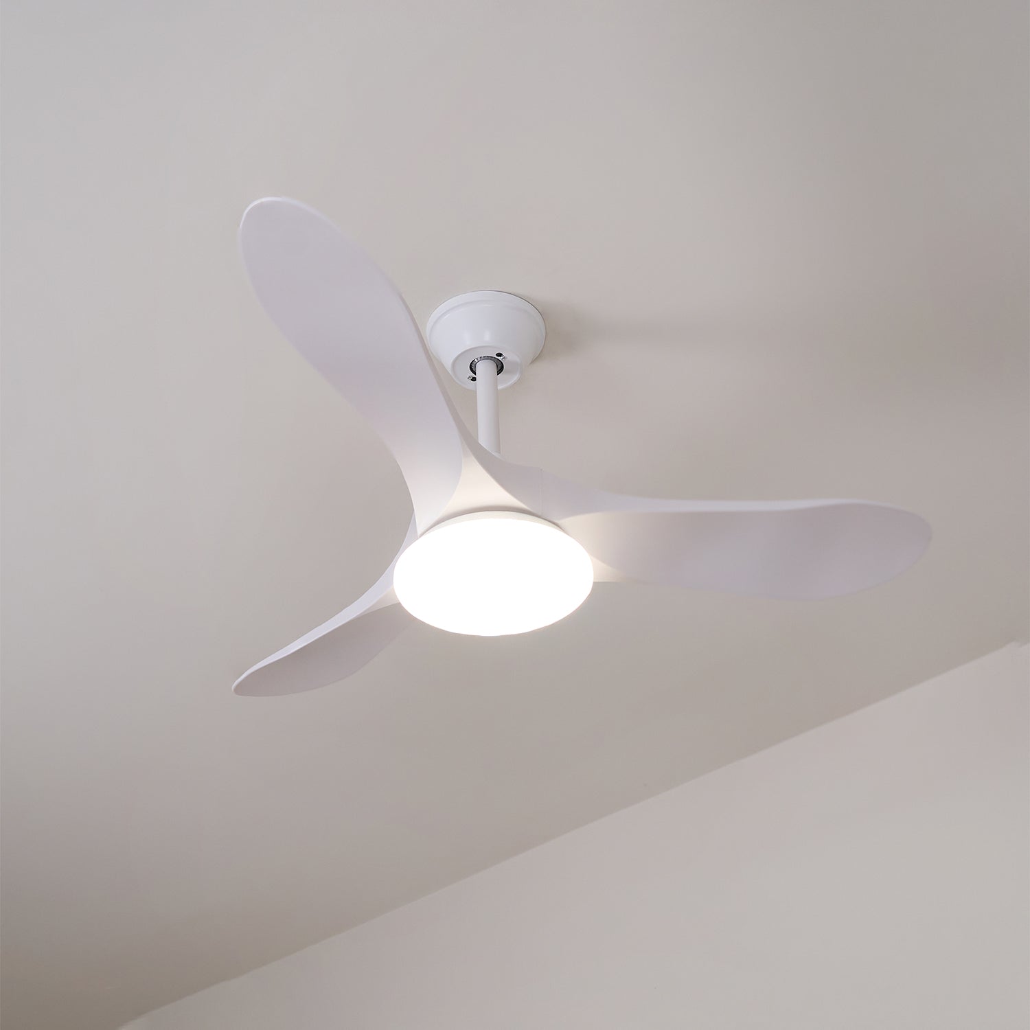 Aveline Modern Wood Ceiling Fan Light - Letslighting