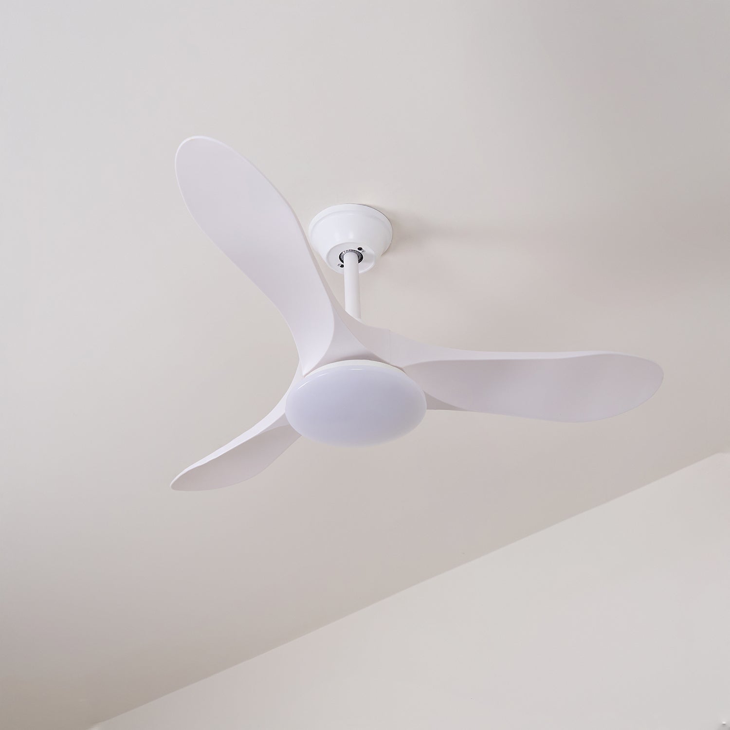 Elora Minimalist Ceiling Fan Light - Letslighting