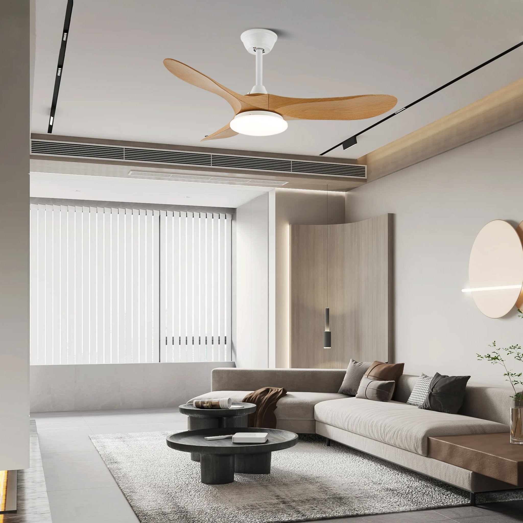 Elora Minimalist Ceiling Fan Light - Letslighting