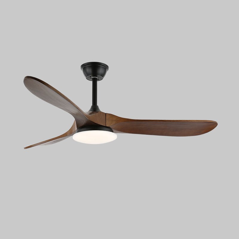 Elora Minimalist Ceiling Fan Light - Letslighting