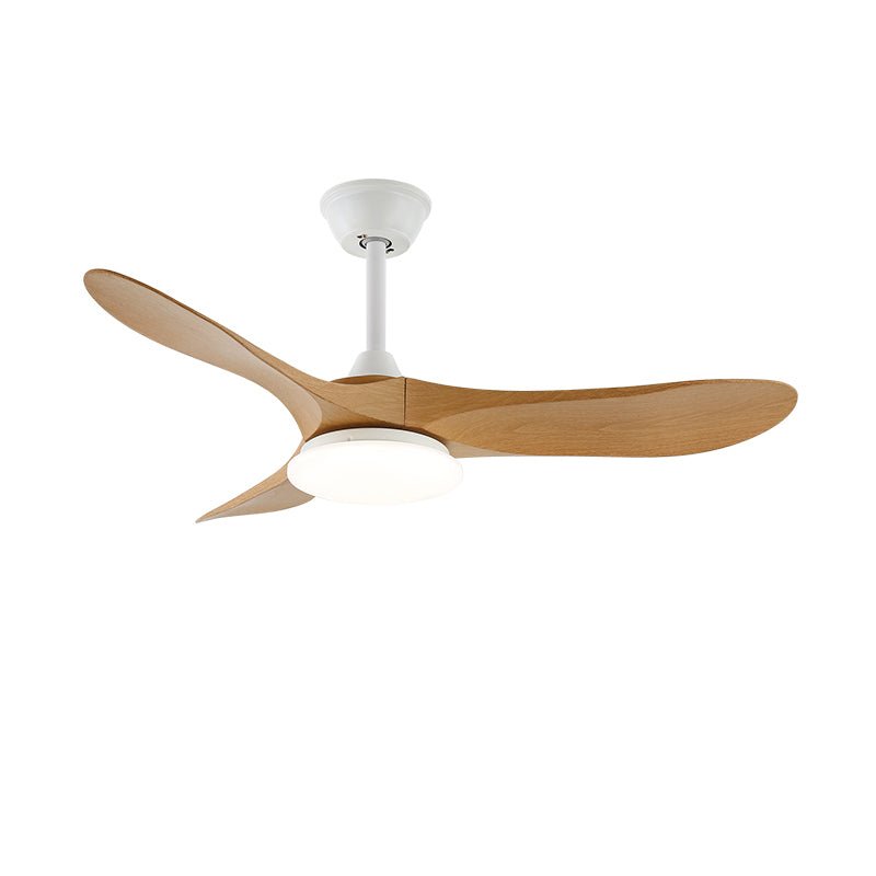 Elora Minimalist Ceiling Fan Light - Letslighting