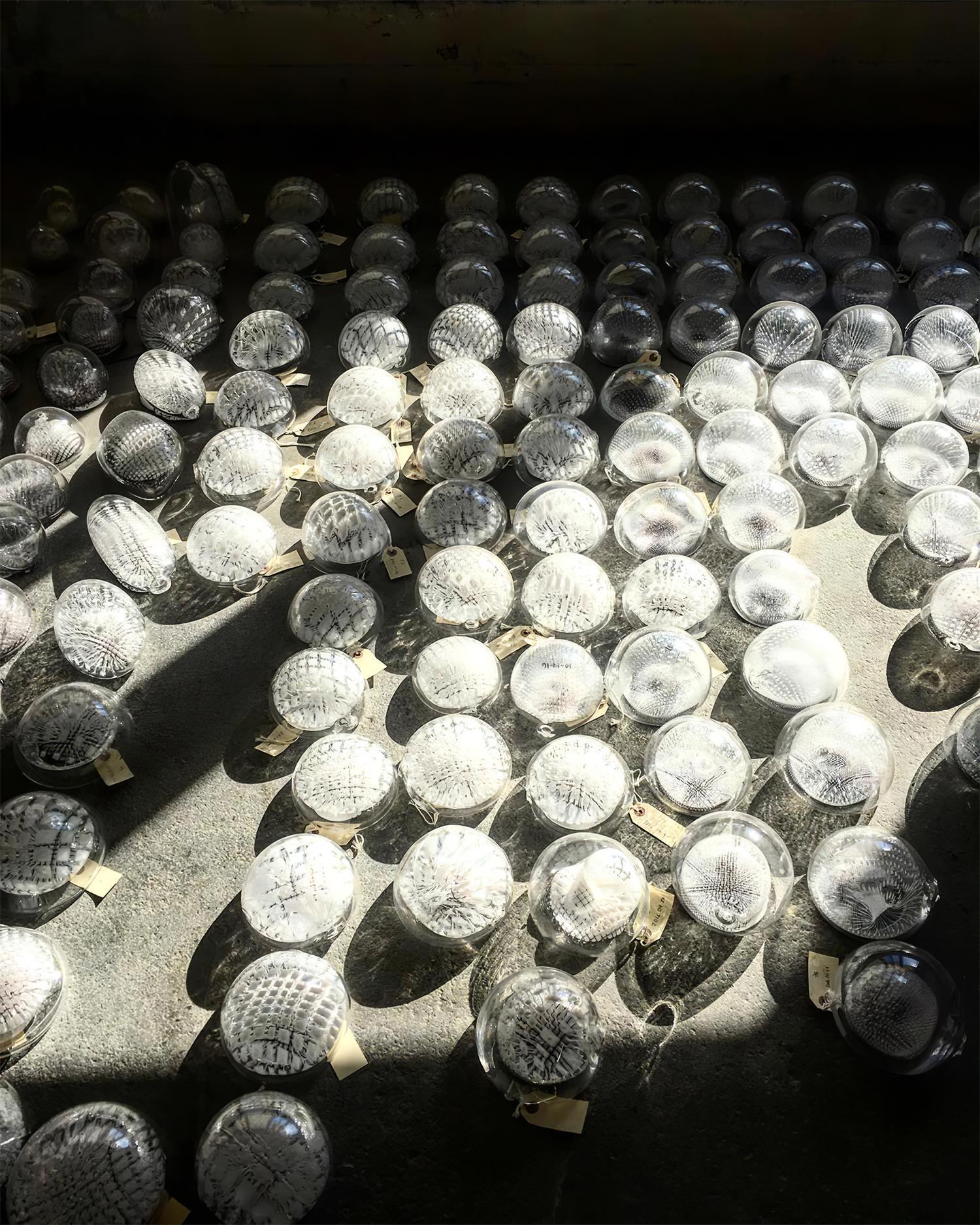Chandelier Mesh Glass Orbs Cluster Frame Modern Minimalist - Letslighting